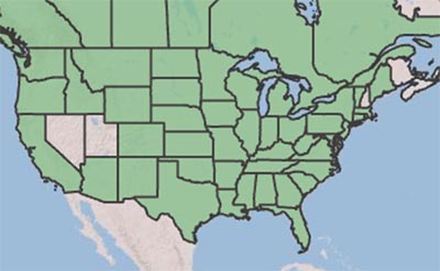 USDA Range Map_plains coreopsis | Busy Bee Nursery and Consulting