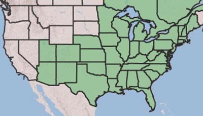 USDA Range Map_hop tree | Busy Bee Nursery and Consulting