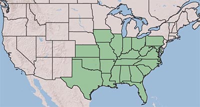 Wiregrass Range Map USDA Range Map_white wingstem | Busy Bee Nursery and Consulting